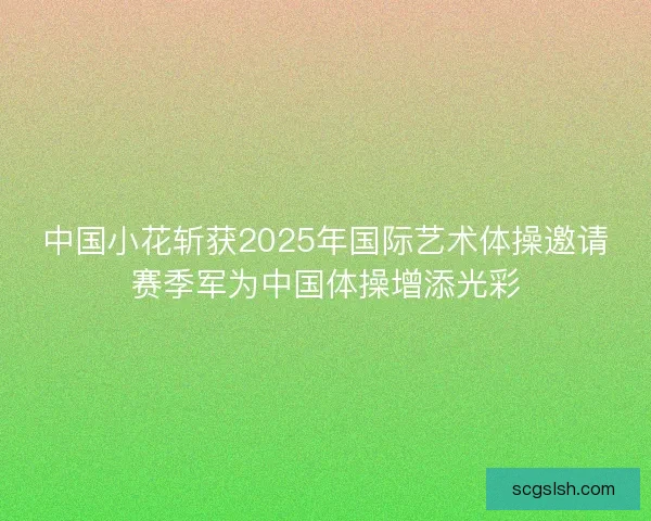 中国小花斩获2025年国际艺术体操邀请赛季军为中国体操增添光彩