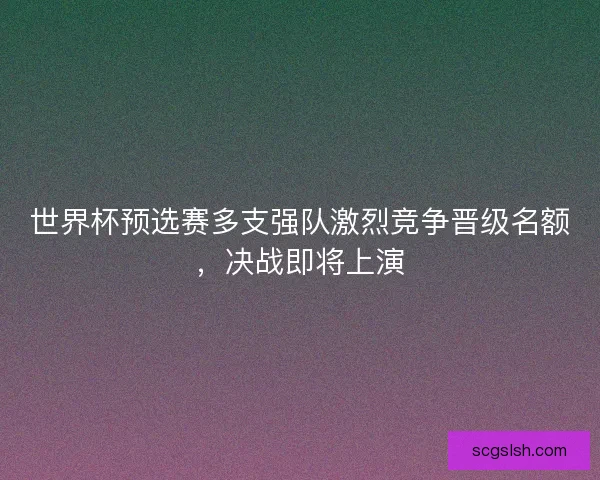 世界杯预选赛多支强队激烈竞争晋级名额，决战即将上演